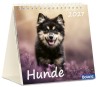 Hunde - Tischkalender 2027